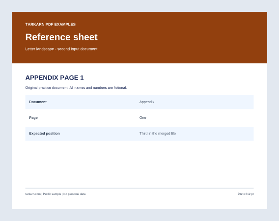 Input appendix: one Letter landscape page labelled APPENDIX PAGE 1