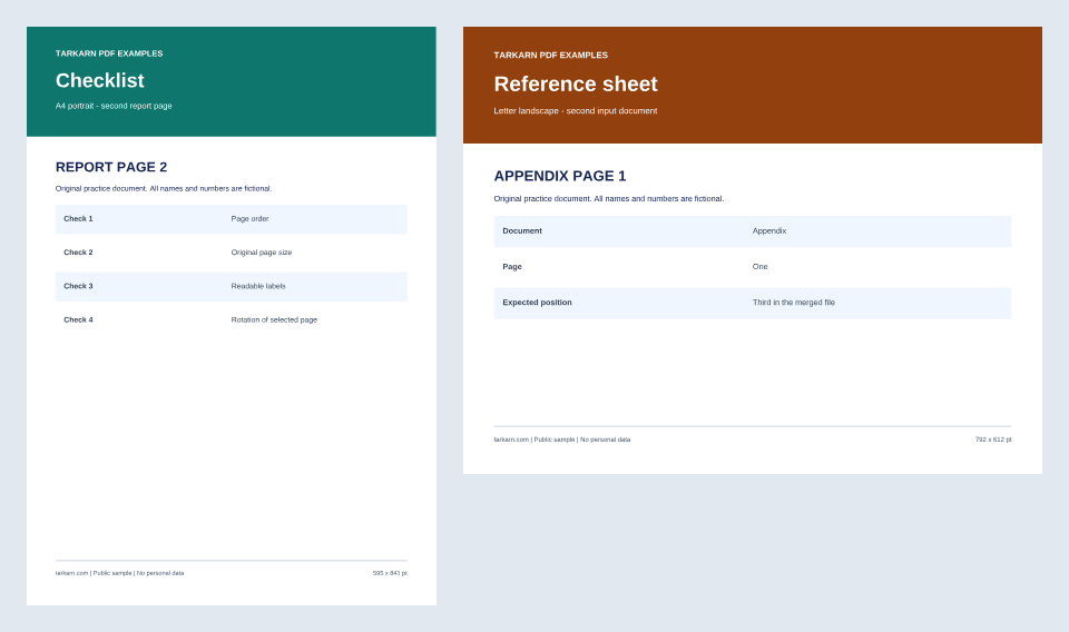 Split result: two pages containing REPORT PAGE 2 and APPENDIX PAGE 1